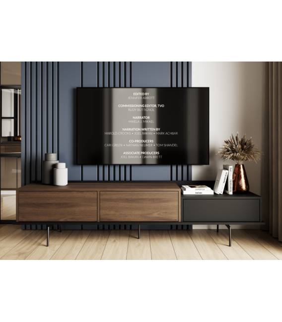 TV spintelė RENE 200x40 tamsiai ruda