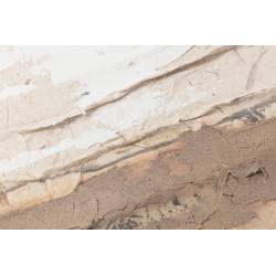 Paveikslas SAVANA 120x90 rusvas