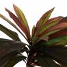 Dirbtinis augalas DRACAENA 165h žalias/raudonas