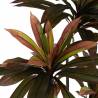 Dirbtinis augalas DRACAENA 165h žalias/raudonas