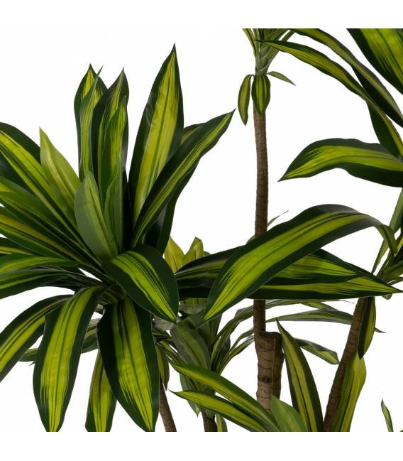 Dirbtinis augalas DRACAENA 200h žalias