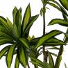 Dirbtinis augalas DRACAENA 200h žalias