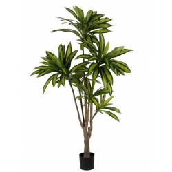 Dirbtinis augalas DRACAENA 200h žalias