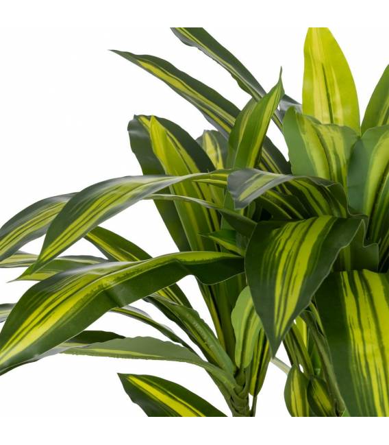 Dirbtinis augalas DRACAENA 110h žalias