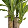 Dirbtinis augalas DRACAENA 110h žalias