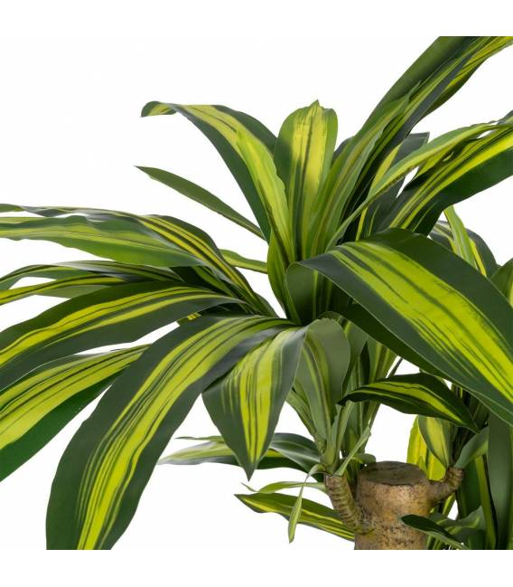 Dirbtinis augalas DRACAENA 140h žalias