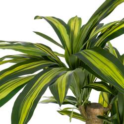 Dirbtinis augalas DRACAENA 140h žalias