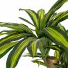 Dirbtinis augalas DRACAENA 140h žalias