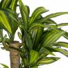 Dirbtinis augalas DRACAENA 140h žalias