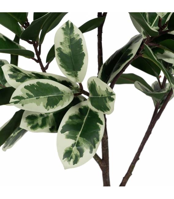 Dirbtinis augalas DRACAENA 120h žalias