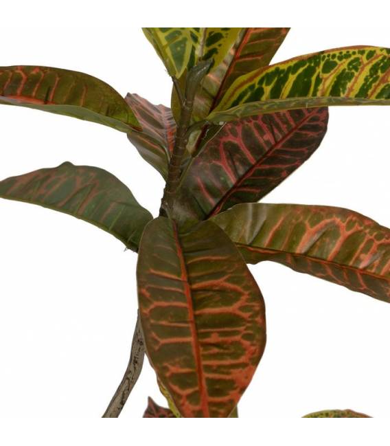 Dirbtinis augalas KROTONAS 150h rusvas