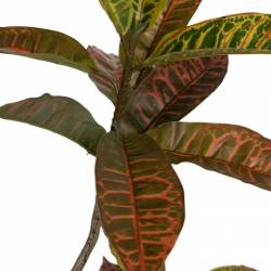 Dirbtinis augalas KROTONAS 150h rusvas