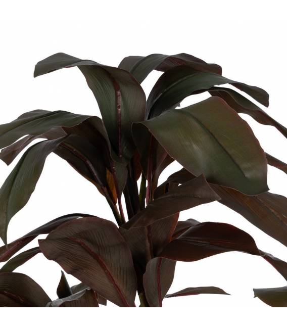 Dirbtinis augalas CORDYLINE 170h tamsiai žalias