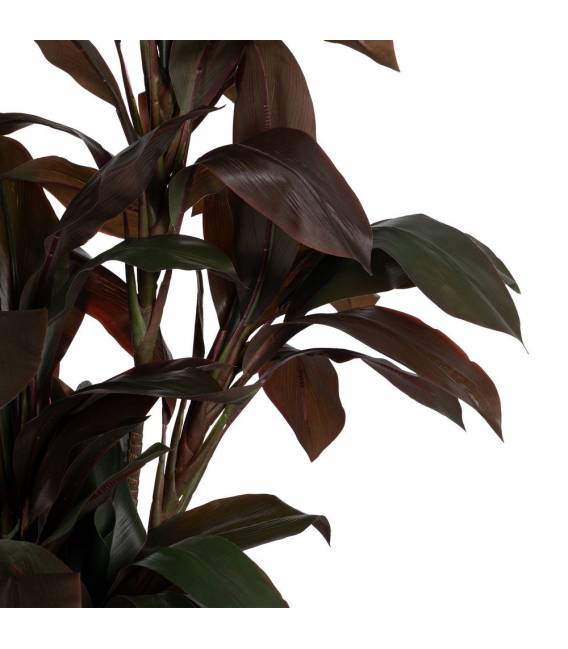 Dirbtinis augalas CORDYLINE 170h tamsiai žalias