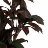 Dirbtinis augalas CORDYLINE 170h tamsiai žalias
