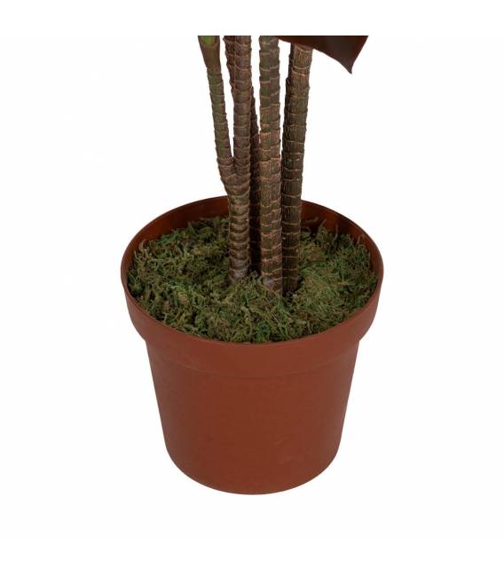 Dirbtinis augalas CORDYLINE 170h tamsiai žalias