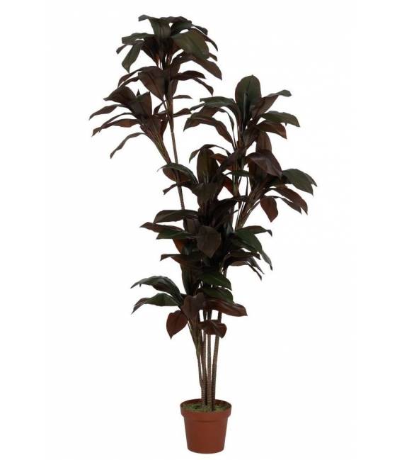 Dirbtinis augalas CORDYLINE 170h tamsiai žalias
