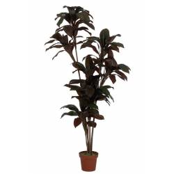 Dirbtinis augalas CORDYLINE 170h tamsiai žalias