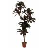Dirbtinis augalas CORDYLINE 170h tamsiai žalias