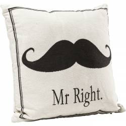 Pagalvėlė MR RIGHT 45x45