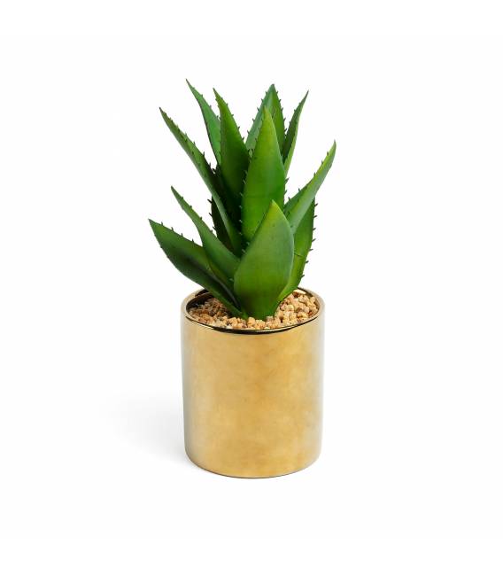 Dirbtinė gėlė AGAVE