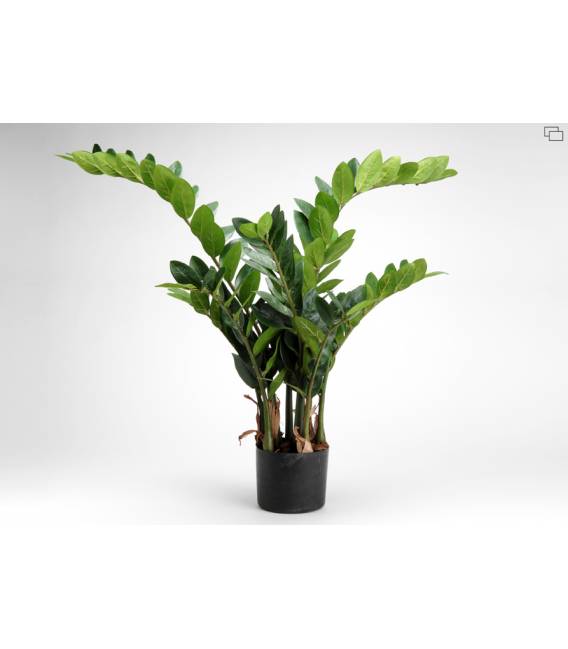 Dirbtinė gėlė ZAMIOCULCAS H130