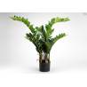 Dirbtinė gėlė ZAMIOCULCAS H130