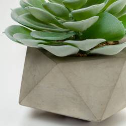 Dirbtinė gėlė ECHEVERIA GLAUCA