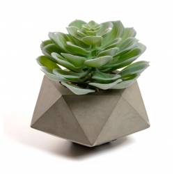 Dirbtinė gėlė ECHEVERIA GLAUCA