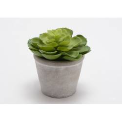 Dirbtinė gėlė ECHEVERIA H13