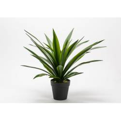 Dirbtinė gėlė YUCCA H35