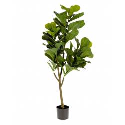 Dirbtinė gėlė FICUS