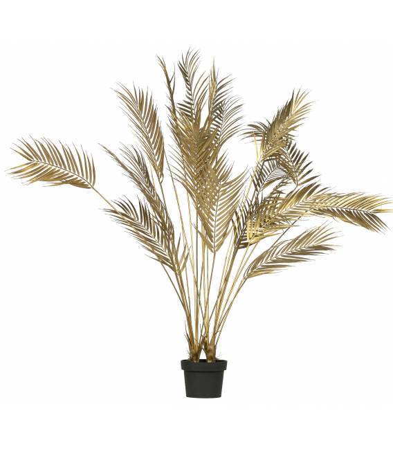 Dekoratyvinis augalas PALM GOLD H110