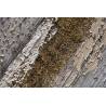 Paveikslas GOLDEN TOUCH 100x150 margas