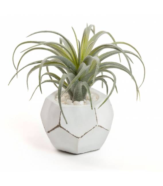 Dirbtinė gėlė TILLANDSIA