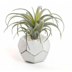 Dirbtinė gėlė TILLANDSIA