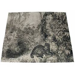 Kilimas LEOPARD 200x140 pilkas