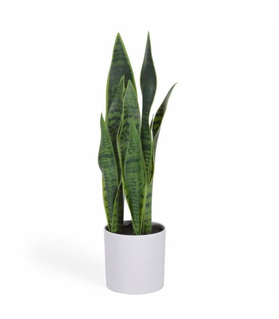 Dirbtinė gėlė SANSEVIERIA