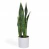 Dirbtinė gėlė SANSEVIERIA