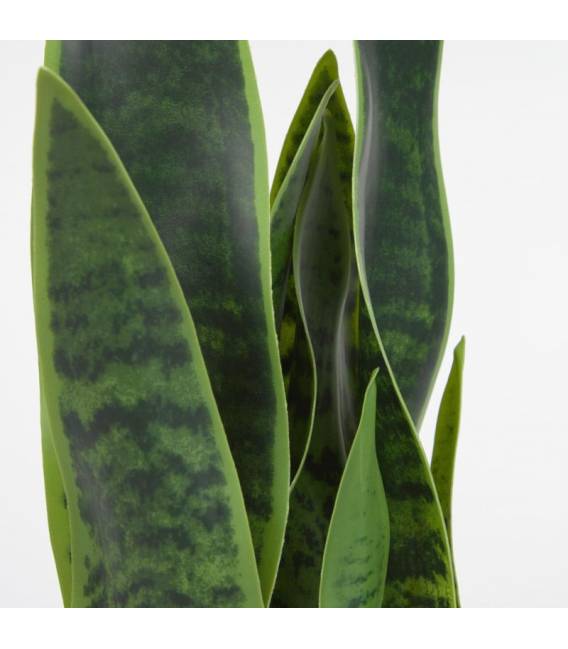 Dirbtinė gėlė SANSEVIERIA