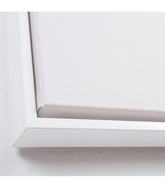 Paveikslas CROWN 83x123 rausvas