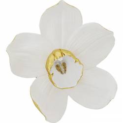 Dekoracija ORCHID balta