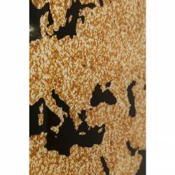 Paveikslas WORLD MAP 150x100cm