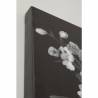 Paveikslas NIGHT LEO 90x140 margas