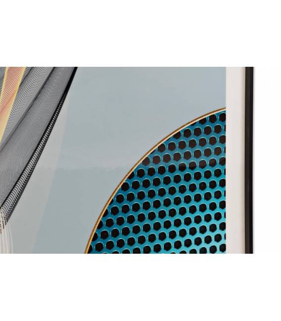 Paveikslas FEATHERS 80x160 margas