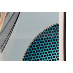 Paveikslas FEATHERS 80x160 margas