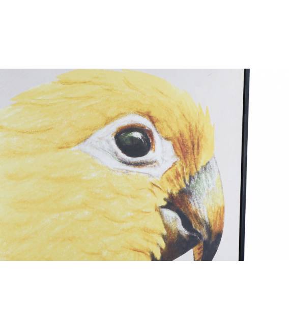 Paveikslas PARROT RIGHT 103x143 geltonas