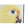 Paveikslas PARROT RIGHT 103x143 geltonas