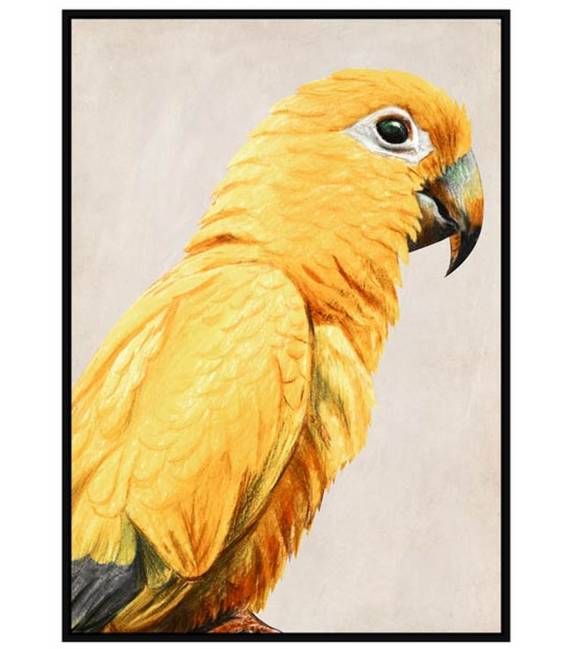 Paveikslas PARROT RIGHT 103x143 geltonas