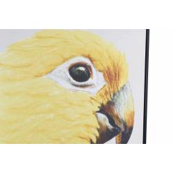Paveikslas PARROT LEFT 103x143 geltonas